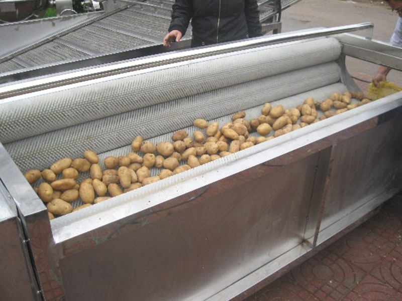 土豆、红薯清洗去皮机