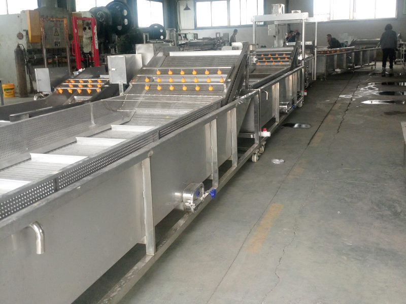 山野菜气泡清洗机