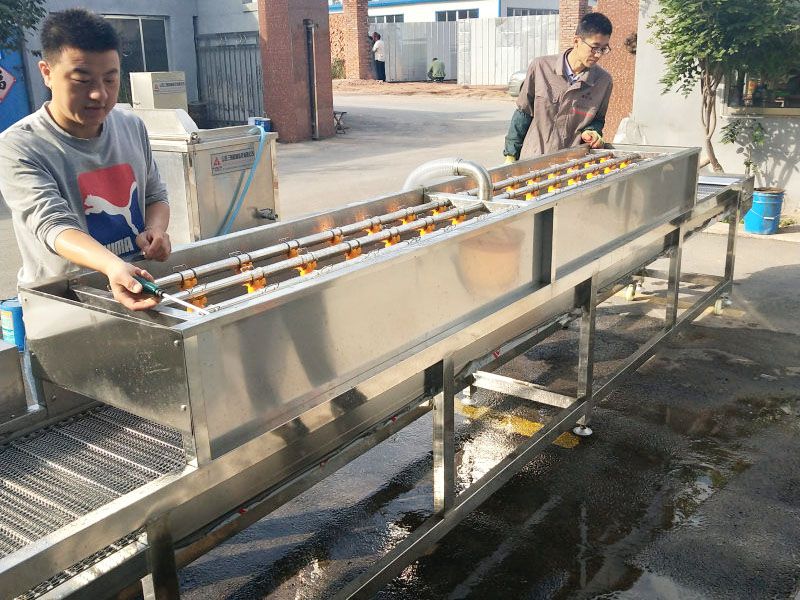 山东多功能蔬菜气泡清洗机